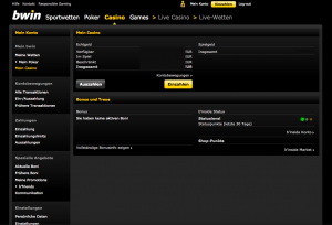 bwin Casino seriös - bwin Casino Erfahrungen: Screenshot der Rubrik Mein Konto